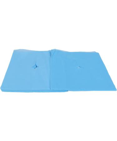 Buy Verdant Touch Disposable Head Support Covers - 100 Pcs Blue Hole Design Water Absorbent & Breathable for Beauty Salons - Ship Internationally - Buy Online on GoSupps.com