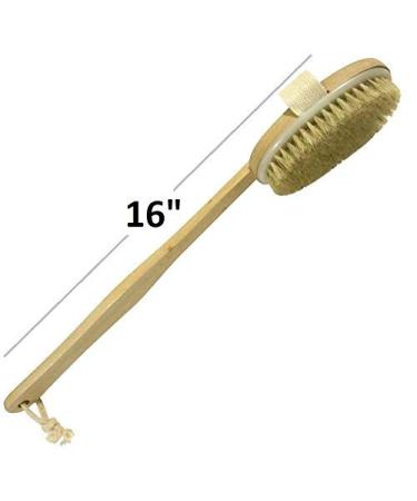 Wholesome Beauty Dry Skin Body Brush - 11-Inch Wood Handle- Exfoliating and Detoxifying - Buy Online on GoSupps.com