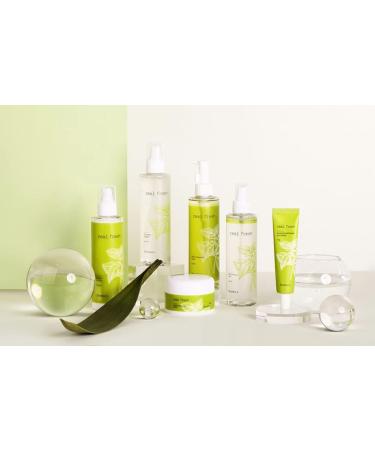 Real Fresh Vegan Face Moisture Calming Relief Intensive Soothing (Lotion) - Buy Online on GoSupps.com