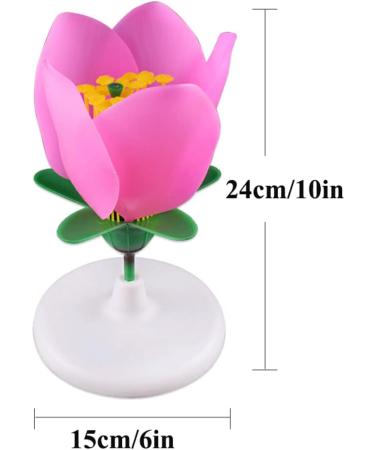 Portable Lifelike Plant Flower Anatomy Model with Display Base - Biology Teaching Aid - Buy Online on GoSupps.com