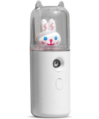dijiusidy USB Sprayer Maker Portable 30ml Mini Humidifier Fogger Face Steamer Traveling Camping Atomizer Beauty Instrument Type 2 White - Buy Online on GoSupps.com
