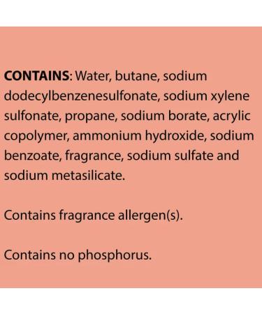 Formula 409 Carpet Cleaner Aerosol 22oz | Powerful Stain Remover - Buy Online on GoSupps.com