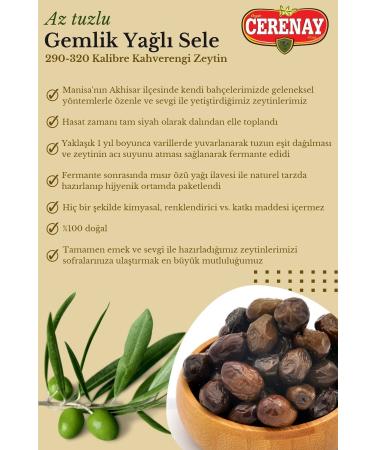CERENAY OLIVE Slightly Salty Gemlik Oily Sele Table Black Brown Olives 291-320 Caliber 1 Kg - Buy Online on GoSupps.com