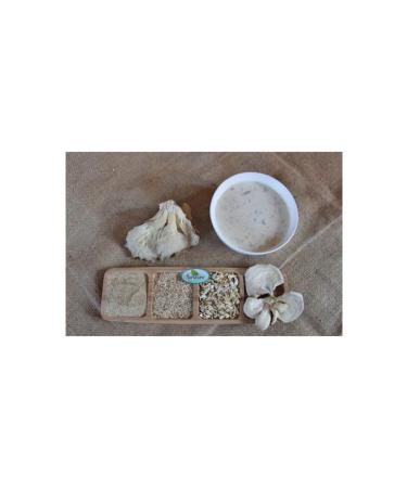 Kurucum Dried Oyster Mushroom Granule Thin Size 500 gr - Buy Online on GoSupps.com