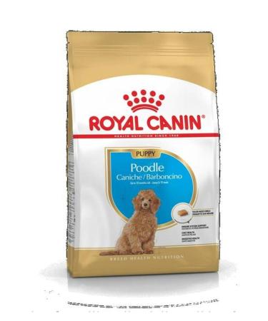 Royal Canin Poodle Junior Puppy Food 3 Kg - Buy Online on GoSupps.com