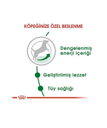 Royal Canin Small Breed Adult Dry Dog Food 4 Kg Mini Adult Dog Food - Buy Online on GoSupps.com