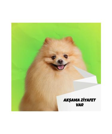 BARFTR Mix Barf 6 Kg Salami Package Dog Food 250 Gr - Buy Online on GoSupps.com