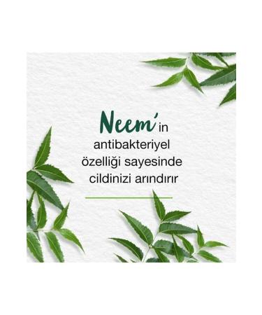 Himalaya Since 1930 Purifying Facial Cleanser and Mask Neem Turmeric Paraben Free Normal and Oily Skin - Buy Online on GoSupps.com