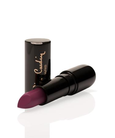 Pierre Cardin Porcelain Edition Lipstick - Berry Rouge - 231 - Buy Online on GoSupps.com