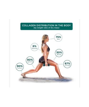 Genacol Plus Glucosamine Aminolock Collagen 90 Capsules - Buy Online on GoSupps.com