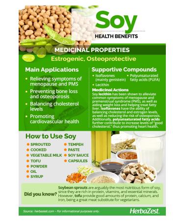 Source Naturals Genistein Soy Complex Organic 1 000 Mg Soy Complex Supplement Fiber Ultra Premium Raw Material - Buy Online on GoSupps.com