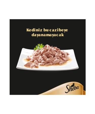 Whiskas Sheba Pouch Salmon Wet Cat Food 85 Gr X 12 Pieces - Buy Online on GoSupps.com