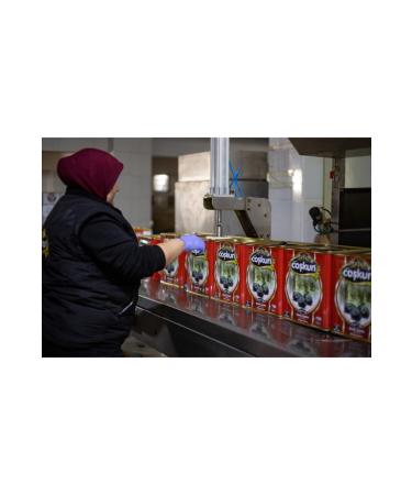 EMC EGEL MUSTAFA OSKUN Mustafa Co kun Oily Saddle 291-320 Kb S Black Olive Tin 10 Kg - Buy Online on GoSupps.com