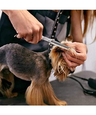 Zwini Pet Grooming Scissors Set 5 in 1 Stainless Steel Pet Trimmer Kit Pet Grooming Scissors Set Hair Care for Dog Cat With 7.5-inch Cutting Scissors Thinning Shear Curved Scissors Grooming Comb - Buy Online on GoSupps.com