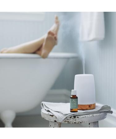 Soap & Paper Factory Roland Pine 1 oz Fragrance Oil - Premium Scent for Home & DIY Projects | International Shipping Available - Buy Online on GoSupps.com
