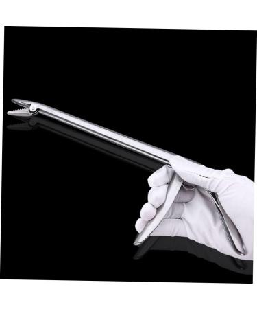 SUPVOX 1pc Fish Control Decoupling Device EEL Fish Hook Detacher Fishing Disgorger Tool Bracket Portable - Buy Online on GoSupps.com