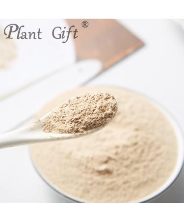 Plant Gift 100% Pure Mushroom Powder 3.25oz Non-GMO Powder No Filler No additives Natural Mushroom Flour Great Flavor for Drinks Adds Flavor and Taste 2uk-po0074 - Buy Online on GoSupps.com