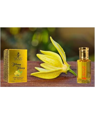 Ylang Ylang 12 ML Concentrated Fragrance - Buy Online on GoSupps.com