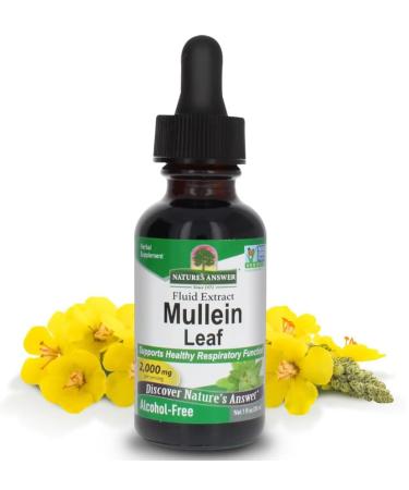 Fluid extract of black mullein leaf 2000 mg 30 ml