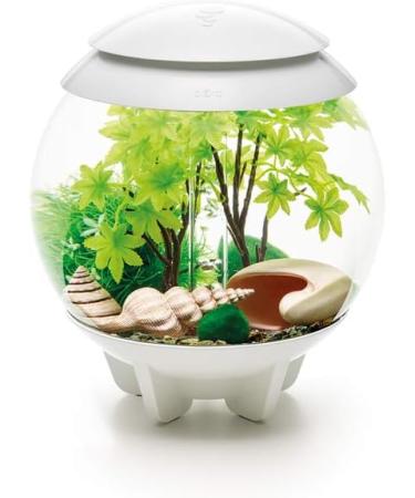 Buy Biorb 55026 Decor Set 15L - Realistic Artificial Aquatic Plants Roots & Stones for Freshwater & Saltwater Aquariums - Perfect Summer Decoration - Buy Online on GoSupps.com