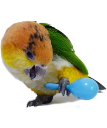 WACURRENTHYD 3PCS- Colourful Mini Ball Sand Hammer Parrot Rattle Shaker Musical Sound Toy Intelligent Sand Hammer Toys for Parakeets Canaries Cockatiels Conure Lovebirds(Random Color) - Buy Online on GoSupps.com