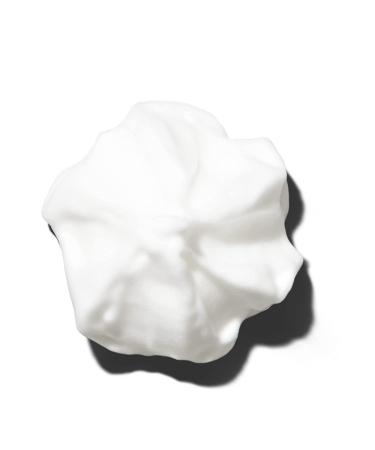 Paul Mitchell Awapuhi Wild Ginger HydroCream Whip Mousse - Frizz Control & Touchable Hold - 6.7 Fl Oz (Pack of 1) - Buy Online on GoSupps.com