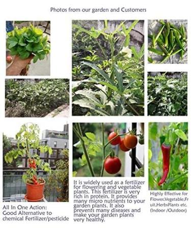 VAYUP Extra Power Mustard Cake Powder Organic Fertilizer for Home Garden Manure for Plants 1kg - Buy Online on GoSupps.com