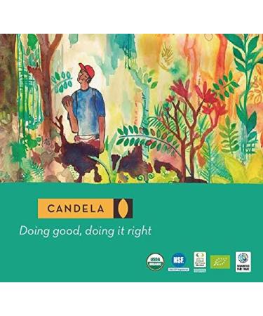 Wild Sustainably-sourced Copaiba Balsam (Oleoresin). 100% Pure. Candela Peru. 30ml / 1 fl oz - Buy Online on GoSupps.com