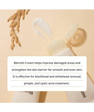 Papa Recipe Panthenol Skin Balancing Cream 50ml with Galactomyces and Niacinamide Korean Skincare (1.69 fl. oz.) - Buy Online on GoSupps.com