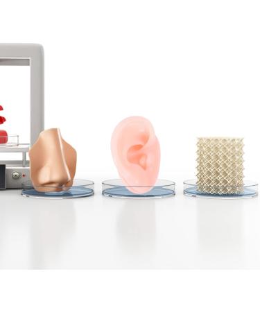 Shop Lalafina 2 Pairs Flexible Artificial Ear Models for Acupuncture & Seam Exercises - 3D Left Ear Protectors - Buy Online on GoSupps.com