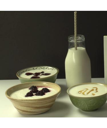 Cultures For Health Piima Yogurt Starter Culture - Homemade Creamy Probiotic-Rich Yogurt | Gluten-Free, Non-GMO | Create in 2 Days - Buy Online on GoSupps.com