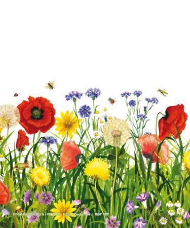 Rannenberg and Friends Glasses Cleaning Cloth Poppy Meadow - Buy Online on GoSupps.com