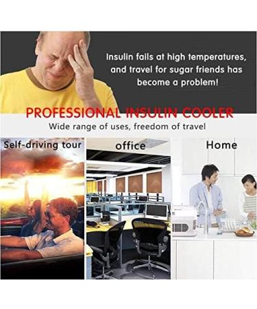 Mini Fridge Medicine Fridge and Insulin Cooler Travel Insulin Cooler Box Portable Car Cooler/Small Travel Medicine Box 2 battery - Buy Online on GoSupps.com