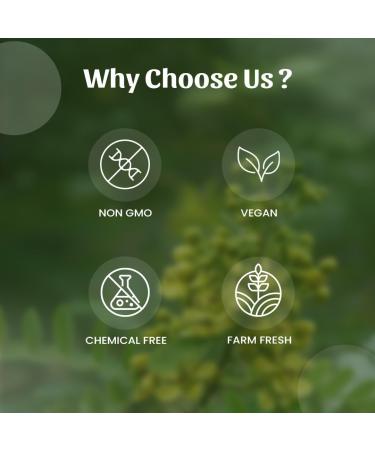  Neel Ayurvedics Neel Ayurvedics Sonamukhi | Senna Leaves | Mindhiaval Powder - 300 GM - Buy Online on GoSupps.com