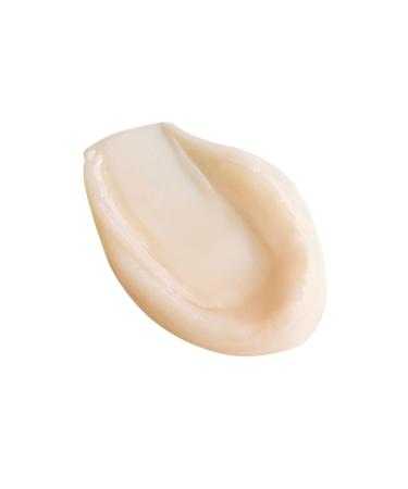 Charlotte Tilbury Magic Night Cream - Firming & Plumping Face Moisturizer - Infused with Time-Released Retinol to Help Reduce the Appearance of Wrinkles & Sagging Skin Overnight 0.5 Fl Oz (Pack of 1) Original - Buy Online on GoSupps.com