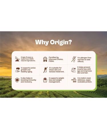 Buy Ori n Nu ion 100% Natural Vegan Plant Protein Powder - 25g Protein Dairy Free No Added Sugar 250g | Easy to Digest & Non-GMO - Buy Online on GoSupps.com