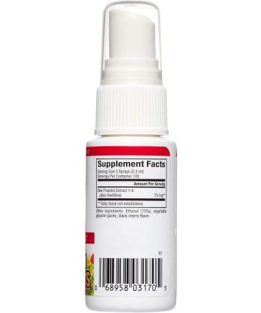 Natural Factors Bee Propolis Throat Spray - Soothe Sore Throat & Boost Energy | 1 Oz - International Shipping Available - Buy Online on GoSupps.com