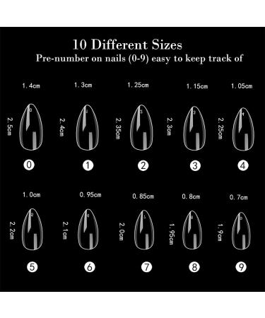 Buy No LIFE 1200PC Short Mountain Peak Nail Tips - 10 Sizes of Full Cover Acrylic Fingernails | Transparent Clear Artificial Nails for Manicure & Gel Polish - Buy Online on GoSupps.com