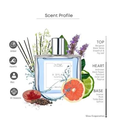 EMS VDylan EDP Perfume for Men | Aromatic Woody Fresh Fragrance | Strong and Long Lasting Spray | Luxury Gift for Him | (50ml / 1.7 Fl Oz) - Buy Online on GoSupps.com