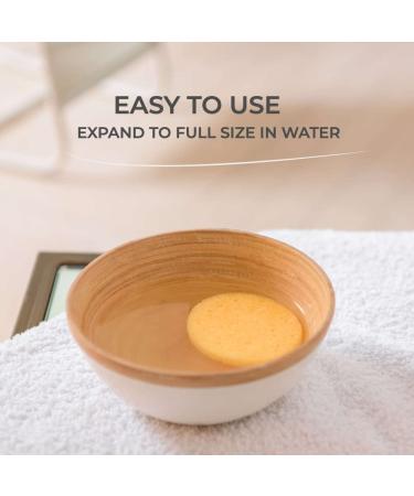 40-Count Large Compressed Facial Sponges for Estheticians - Cellulose Face Sponges for Cleansing and Exfoliating - Dehydrated Facial Sponges for Washing Face - Buy Online on GoSupps.com