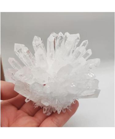 Home Decor 1pcs Natural Raw Quartz White Clear Crystal Cluster Stones Crystal Point Specimen Home Decoration Raw Crystals Mi Soothing Crystal Household Crystal Cluster (Size : 600-700g) - Buy Online on GoSupps.com