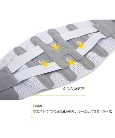 Back Brace for Lower Back Pain Relief | Breathable Support Belt for Herniated Disc & Scoliosis - Men & Women - Buy Online on GoSupps.com