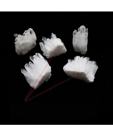 Natural Clear White Quartz Crystal Cluster Geode Gemstones Raw Specimen Home Decor Full of Texture 2-3cm - Buy Online on GoSupps.com