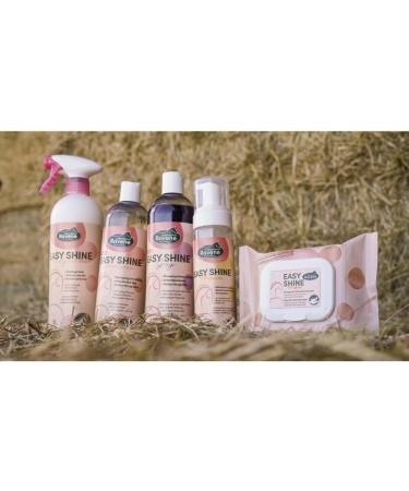 easy shine shampoo 500ml - Buy Online on GoSupps.com