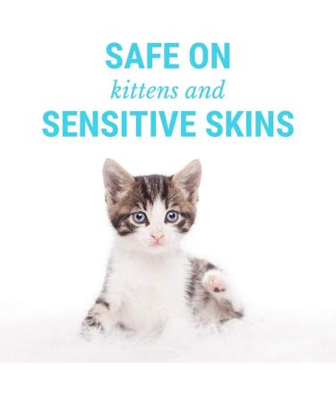CatFresh Oatmeal Skin & Coat Spray | Cleanses, Detangles & Soothes Irritations | Moisturizes, Rejuvenates & Neutralizes Odors - Buy Online on GoSupps.com
