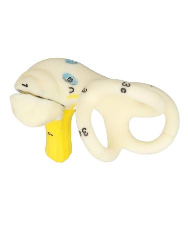 Anggrek Ear Semicircular Canal Model 5X Magnification | Inner Ear Cochlea Anatomical Structure - Buy Online on GoSupps.com