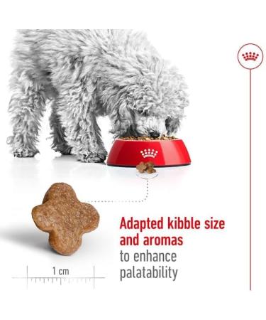 Royal Canin Mini Adult 8+ | 2 kg | Complete Food for Small Breed Dogs (up to 10 kg) in the Second Half of Their Life | From 8 Years Old | Can Help Support Vitality - Buy Online on GoSupps.com