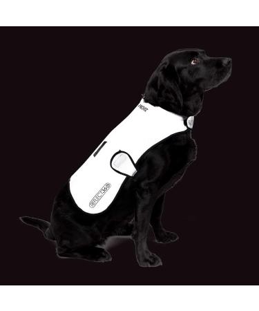 Proviz Sports 100% Reflective High-Vis Waterproof Dog Coat | Best for Safety & Comfort | International Shipping - Buy Online on GoSupps.com