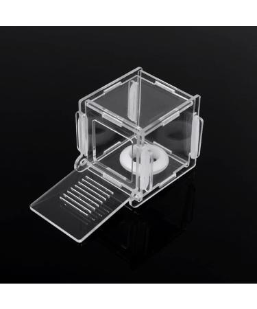 ACSUZ Single Test Tube Nest Acrylic Ant Nest Nest Concrete Ant Nest Mini Ant Nest Ant Farm Ant Breeding - Buy Online on GoSupps.com