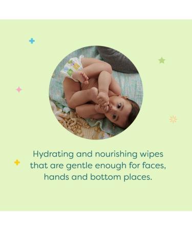 Babyganics Unscented Diaper Wipes 800 Count (10 Packs of 80) - Non-Allergenic Plant-Based Formula - 80 Count Wipes x 10 Packs - Buy Online on GoSupps.com